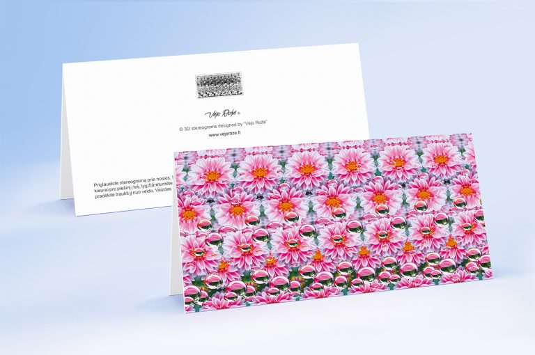 Pink dahlias 3d stereogram greeting card with envelope