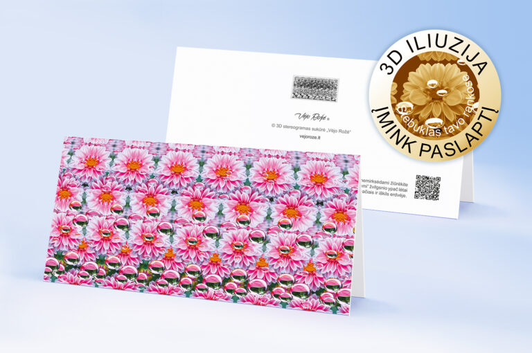 Pink Dahlias – 3D Stereogram Greeting Card with Envelope