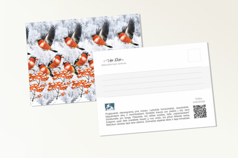 Postcard bullfinches 3d stereogram