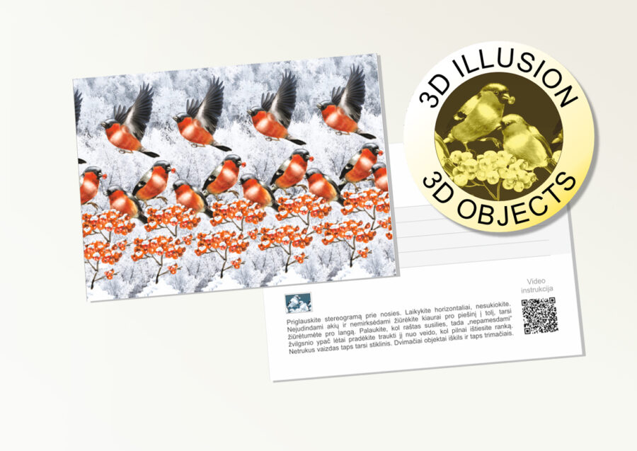 Postcard bullfinches 3d stereogram 2